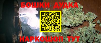 МДПВ Будённовск