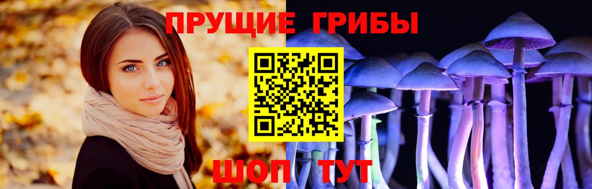 Псилоцибиновые грибы MAGIC MUSHROOMS  Вход с VPN  Кыштым  Галлюциногенные грибы ЛСД 